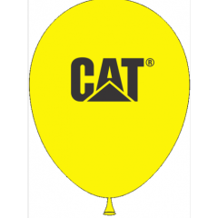 30cm CAT BALLOON Balloons